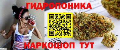 спиды Ирбит