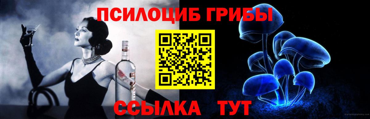 Псилоцибиновые грибы GOLDEN TEACHER Люберцы